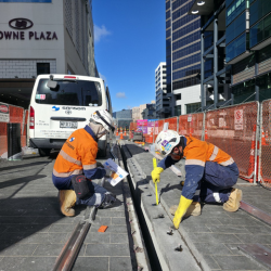 Sansom guest blog tile